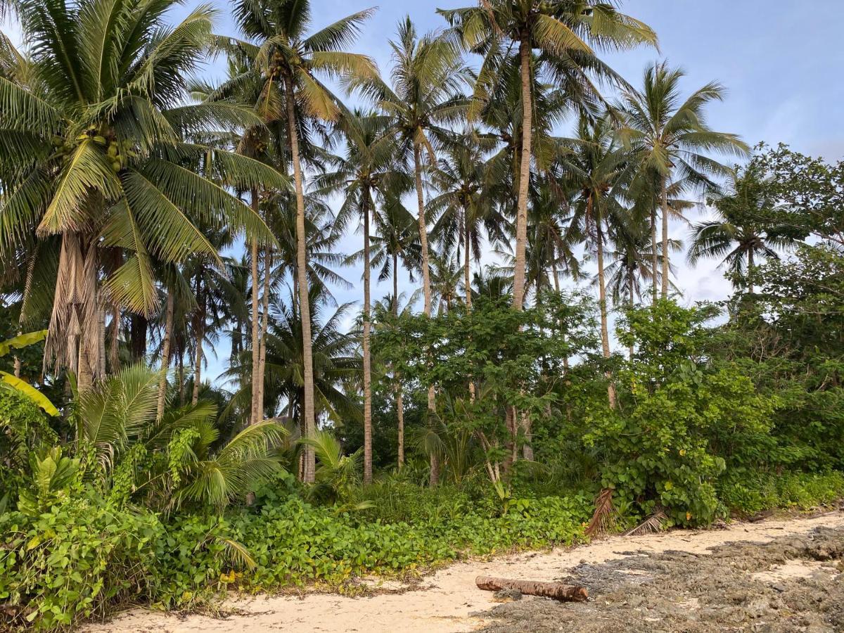 Апартаменты Siargao Residency Union  Экстерьер фото